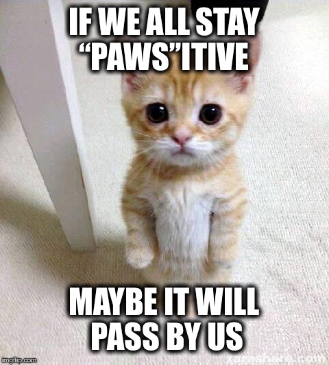 IF WE ALL STAY “PAWS”ITIVE MAYBE IT WILL PASS BY US | made w/ Imgflip meme maker
