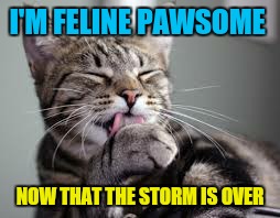 I'M FELINE PAWSOME NOW THAT THE STORM IS OVER | made w/ Imgflip meme maker