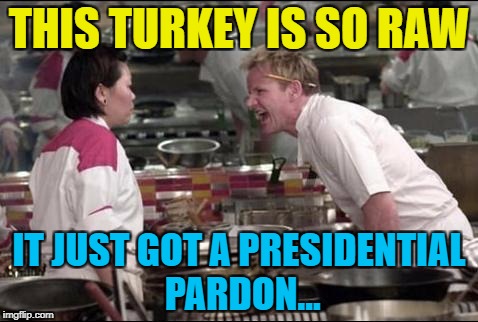 Thanksgiving memes - so hot right now :) | THIS TURKEY IS SO RAW; IT JUST GOT A PRESIDENTIAL PARDON... | image tagged in memes,angry chef gordon ramsay,thanksgiving,turkey,presidential pardon,food | made w/ Imgflip meme maker