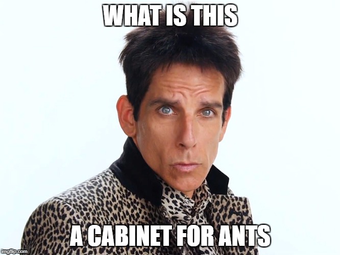 WHAT IS THIS; A CABINET FOR ANTS | made w/ Imgflip meme maker
