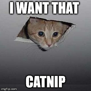 Ceiling Cat | I WANT THAT; CATNIP | image tagged in memes,ceiling cat | made w/ Imgflip meme maker