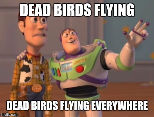 X, X Everywhere Meme | DEAD BIRDS FLYING DEAD BIRDS FLYING EVERYWHERE | image tagged in memes,x x everywhere | made w/ Imgflip meme maker