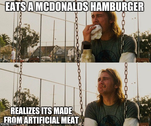 First World Stoner Problems | EATS A MCDONALDS HAMBURGER; REALIZES ITS MADE FROM ARTIFICIAL MEAT | image tagged in memes,first world stoner problems | made w/ Imgflip meme maker