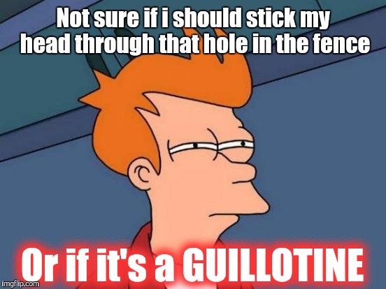 CHOP! | Not sure if i should stick my head through that hole in the fence; Or if it's a GUILLOTINE | image tagged in memes,futurama fry,justjeff,chop,guillotine | made w/ Imgflip meme maker