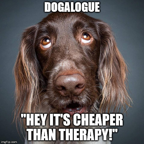DOGALOGUE; "HEY IT'S CHEAPER THAN THERAPY!" | image tagged in dogalogue | made w/ Imgflip meme maker