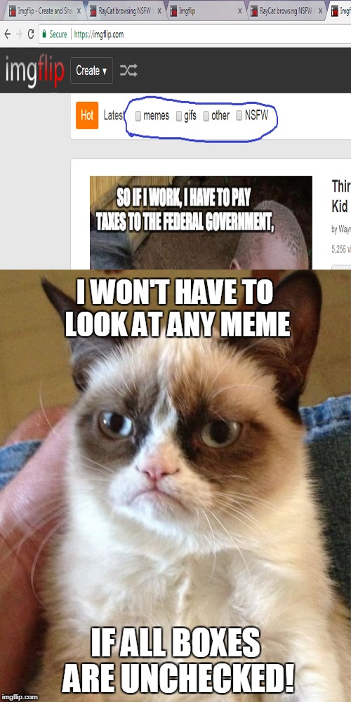 Ideal IMGFlip settings for Grumpy Cat! | I WON'T HAVE TO LOOK AT ANY MEME; IF ALL BOXES ARE UNCHECKED! | image tagged in memes,imgflip,powermetalhead,grumpy cat,boxes,nothing | made w/ Imgflip meme maker