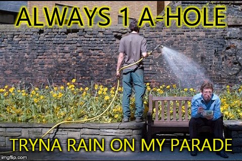 Keep on the sunny side | ALWAYS 1 A-HOLE; TRYNA RAIN ON MY PARADE | image tagged in rain,parade,a-hole,asshole | made w/ Imgflip meme maker