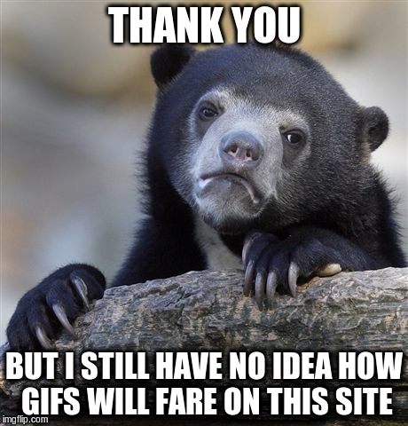Confession Bear Meme | THANK YOU BUT I STILL HAVE NO IDEA HOW GIFS WILL FARE ON THIS SITE | image tagged in memes,confession bear | made w/ Imgflip meme maker