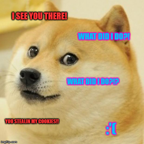 Doge | I SEE YOU THERE! WHAT DID I DO?! WHAT DID I DO?!? YOU STEALIN MY COOKIES!! :'( | image tagged in memes,doge | made w/ Imgflip meme maker
