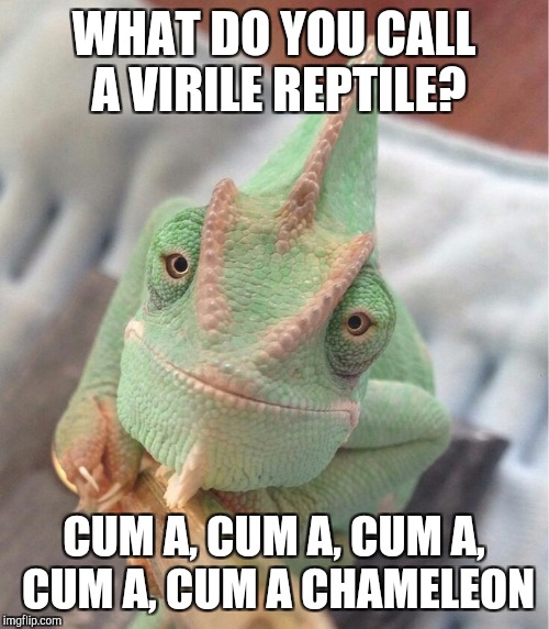 NSFW Weekend, an isayisay, Jessica_ & JBmemegeek event! Nov 17 - 19 | WHAT DO YOU CALL A VIRILE REPTILE? CUM A, CUM A, CUM A, CUM A, CUM A CHAMELEON | image tagged in jbmemegeek,karma chameleon,reptile,nsfw,nsfw weekend | made w/ Imgflip meme maker