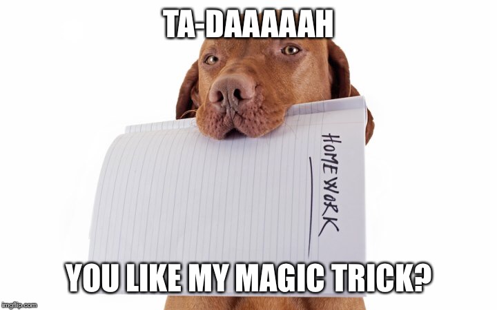 TA-DAAAAAH YOU LIKE MY MAGIC TRICK? | made w/ Imgflip meme maker