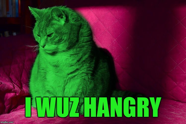 Cantankerous RayCat | I WUZ HANGRY | image tagged in cantankerous raycat | made w/ Imgflip meme maker