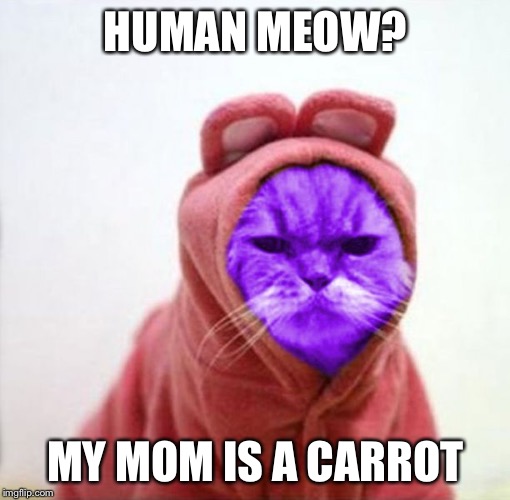 Sullen RayCat | HUMAN MEOW? MY MOM IS A CARROT | image tagged in sullen raycat | made w/ Imgflip meme maker