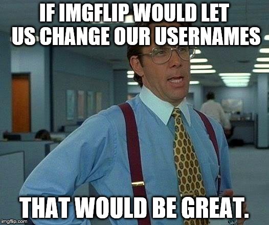 Had to delete my account to [rotect my anonymity | IF IMGFLIP WOULD LET US CHANGE OUR USERNAMES; THAT WOULD BE GREAT. | image tagged in memes,that would be great | made w/ Imgflip meme maker