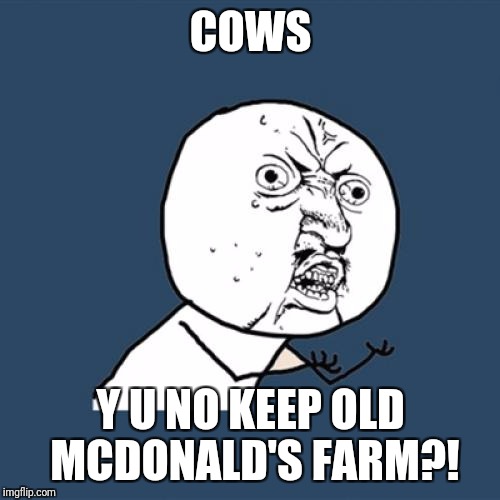 Y U No Meme | COWS Y U NO KEEP OLD MCDONALD'S FARM?! | image tagged in memes,y u no | made w/ Imgflip meme maker