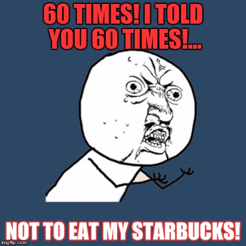 Y U No Meme | 60 TIMES! I TOLD YOU 60 TIMES!... NOT TO EAT MY STARBUCKS! | image tagged in memes,y u no | made w/ Imgflip meme maker