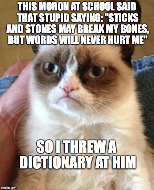 Grumpy Cat | THIS MORON AT SCHOOL SAID THAT STUPID SAYING: "STICKS AND STONES MAY BREAK MY BONES, BUT WORDS WILL NEVER HURT ME"; SO I THREW A DICTIONARY AT HIM | image tagged in memes,grumpy cat | made w/ Imgflip meme maker