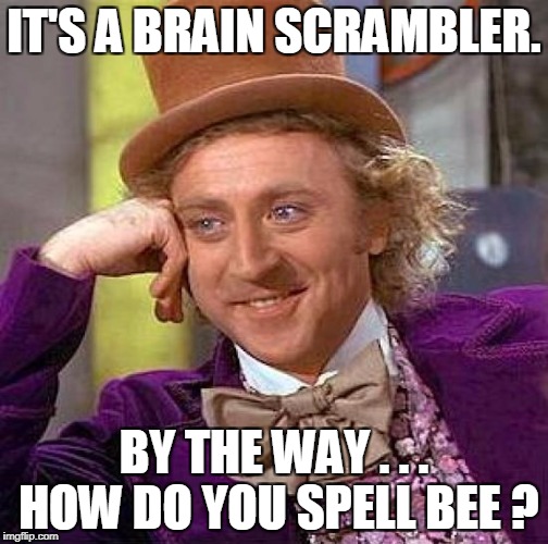 Creepy Condescending Wonka Meme | IT'S A BRAIN SCRAMBLER. BY THE WAY . . . HOW DO YOU SPELL BEE ? | image tagged in memes,creepy condescending wonka | made w/ Imgflip meme maker