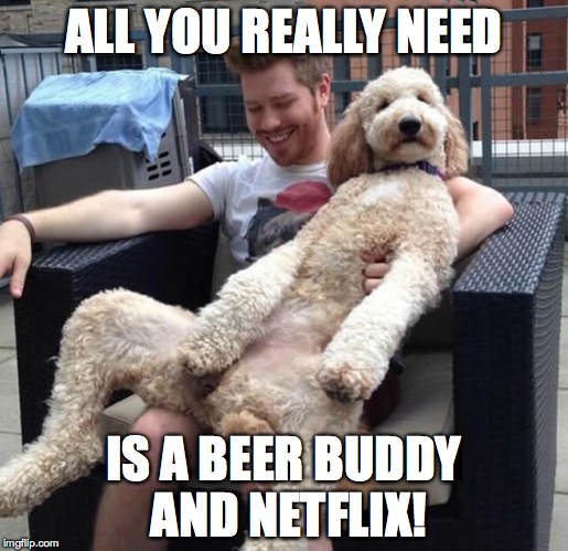 Netflix and Chill Time | ALL YOU REALLY NEED; IS A BEER BUDDY AND NETFLIX! | image tagged in beer buddy | made w/ Imgflip meme maker