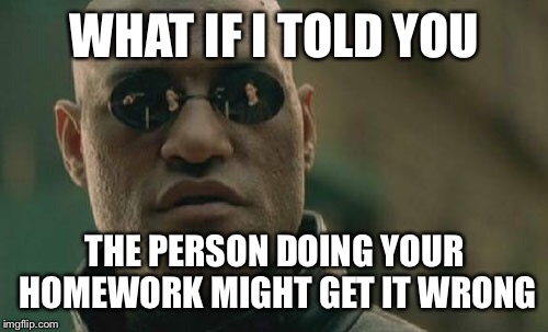 Matrix Morpheus Meme | WHAT IF I TOLD YOU THE PERSON DOING YOUR HOMEWORK MIGHT GET IT WRONG | image tagged in memes,matrix morpheus | made w/ Imgflip meme maker