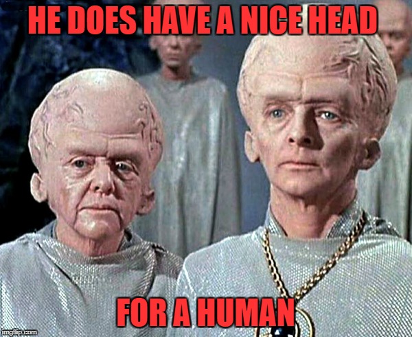 HE DOES HAVE A NICE HEAD FOR A HUMAN | made w/ Imgflip meme maker