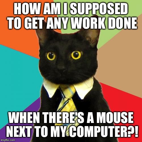 Business Cat Meme |  HOW AM I SUPPOSED TO GET ANY WORK DONE; WHEN THERE'S A MOUSE NEXT TO MY COMPUTER?! | image tagged in memes,business cat | made w/ Imgflip meme maker