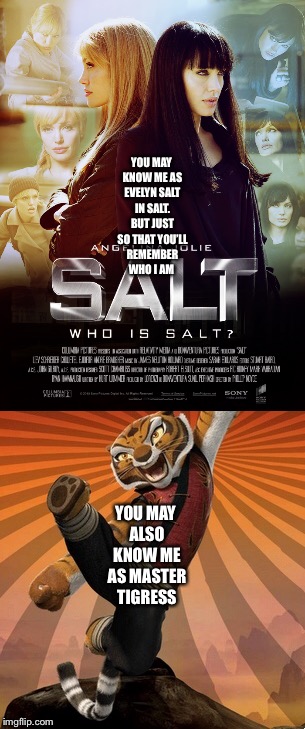 Two of Angelina Jolie’s Best Well Known Film Roles  | YOU MAY KNOW ME AS EVELYN SALT IN SALT. BUT JUST SO THAT YOU’LL REMEMBER WHO I AM; YOU MAY ALSO KNOW ME AS MASTER TIGRESS | image tagged in memes | made w/ Imgflip meme maker