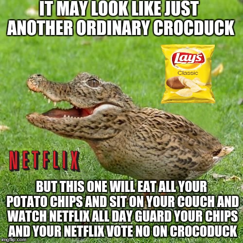 crocoduck steals your stuff | IT MAY LOOK LIKE JUST ANOTHER ORDINARY CROCDUCK; BUT THIS ONE WILL EAT ALL YOUR POTATO CHIPS AND SIT ON YOUR COUCH AND WATCH NETFLIX ALL DAY GUARD YOUR CHIPS AND YOUR NETFLIX VOTE NO ON CROCODUCK | image tagged in crocoduck,lays potato chips,netflix,meme | made w/ Imgflip meme maker