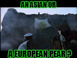 AN ASIAN OR A EUROPEAN PEAR ? | made w/ Imgflip meme maker