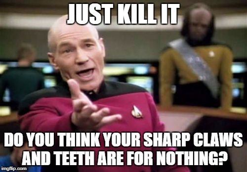 Picard Wtf Meme | JUST KILL IT DO YOU THINK YOUR SHARP CLAWS AND TEETH ARE FOR NOTHING? | image tagged in memes,picard wtf | made w/ Imgflip meme maker