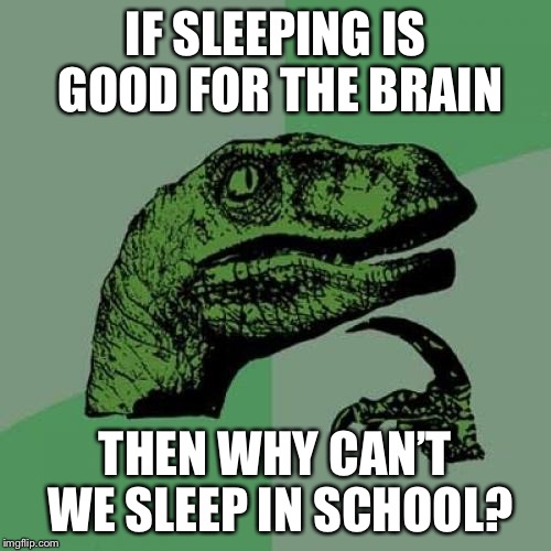 Philosoraptor | IF SLEEPING IS GOOD FOR THE BRAIN; THEN WHY CAN’T WE SLEEP IN SCHOOL? | image tagged in memes,philosoraptor | made w/ Imgflip meme maker