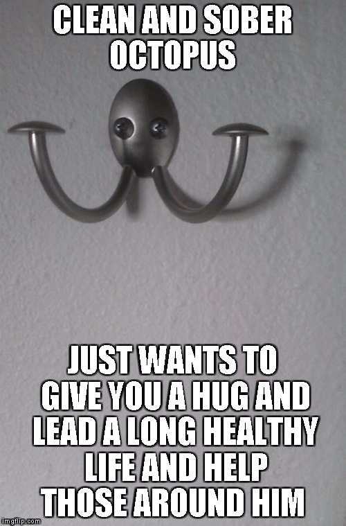 CLEAN AND SOBER OCTOPUS; JUST WANTS TO GIVE YOU A HUG AND LEAD A LONG HEALTHY LIFE AND HELP THOSE AROUND HIM | image tagged in drunk octopus sober | made w/ Imgflip meme maker