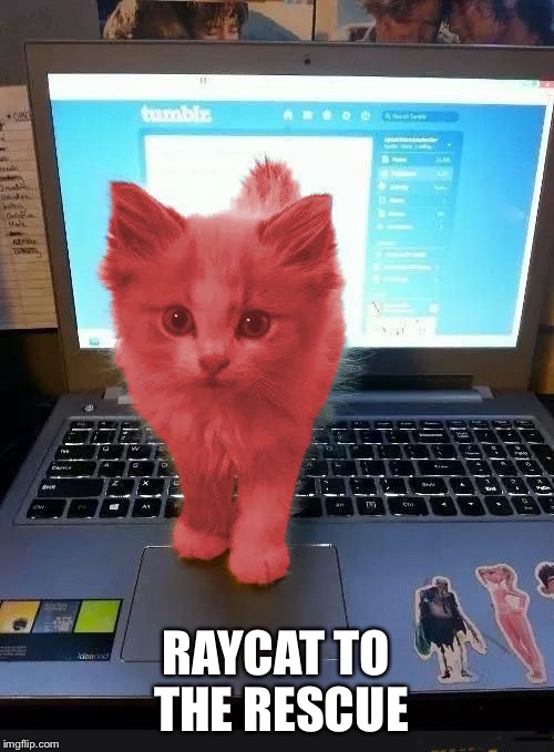 RayCat blocking monitor | RAYCAT TO THE RESCUE | image tagged in raycat blocking monitor | made w/ Imgflip meme maker