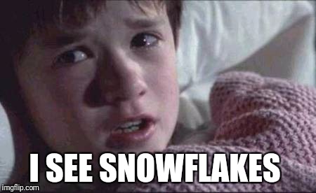 I See Dead People Meme | I SEE SNOWFLAKES | image tagged in memes,i see dead people | made w/ Imgflip meme maker