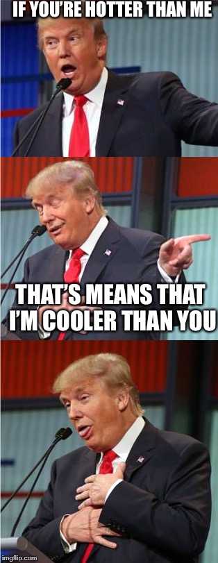 Dont f!ck with donald! | IF YOU’RE HOTTER THAN ME; THAT’S MEANS THAT I’M COOLER THAN YOU | image tagged in bad pun trump,donald trump,irony | made w/ Imgflip meme maker