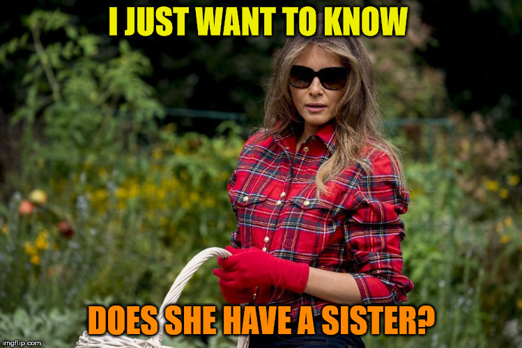 Putting Liberal woman to shame | I JUST WANT TO KNOW; DOES SHE HAVE A SISTER? | image tagged in melania trump meme,liberal logic,feminism,feminist,angry feminist,triggered feminist | made w/ Imgflip meme maker