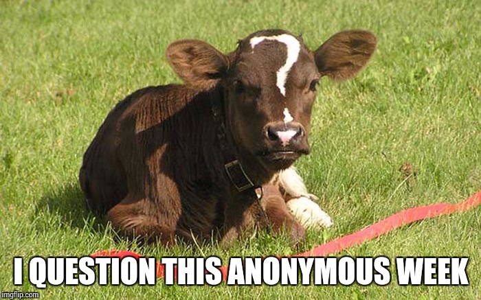 Question Cow - Anonymous Week - A __________ event | I QUESTION THIS ANONYMOUS WEEK | image tagged in anonymous week,question cow | made w/ Imgflip meme maker