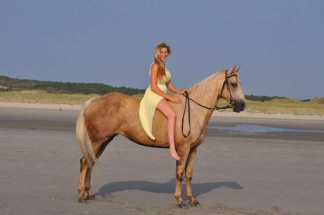 High Quality Blonde woman on horse Blank Meme Template