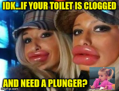 Plunger Lips | IDK...IF YOUR TOILET IS CLOGGED; AND NEED A PLUNGER? | image tagged in memes,duck face chicks,plunger | made w/ Imgflip meme maker