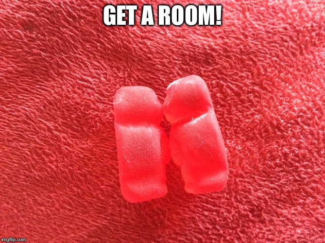 GET A ROOM! | image tagged in gummy bears | made w/ Imgflip meme maker