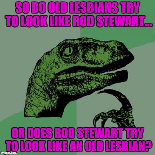 Philosoraptor | SO DO OLD LESBIANS TRY TO LOOK LIKE ROD STEWART... OR DOES ROD STEWART TRY TO LOOK LIKE AN OLD LESBIAN? | image tagged in memes,philosoraptor | made w/ Imgflip meme maker