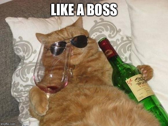 Funny Cat Birthday | LIKE A BOSS | image tagged in funny cat birthday | made w/ Imgflip meme maker