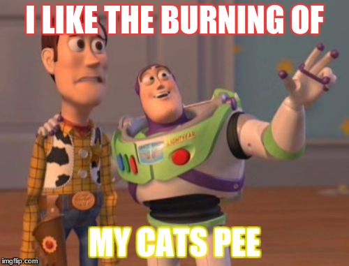 X, X Everywhere | I LIKE THE BURNING OF; MY CATS PEE | image tagged in memes,x x everywhere | made w/ Imgflip meme maker