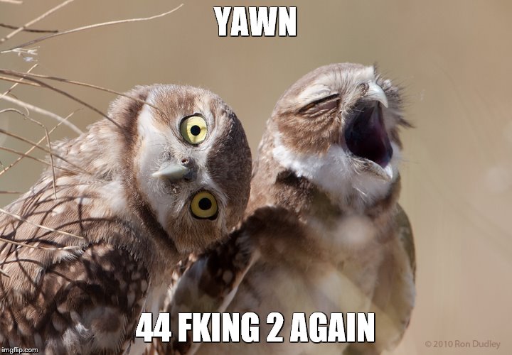 [Image: 1zp5a9.jpg]