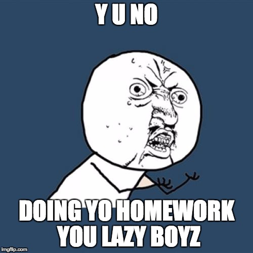 Y U No | Y U NO; DOING YO HOMEWORK YOU LAZY BOYZ | image tagged in memes,y u no | made w/ Imgflip meme maker