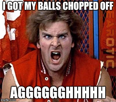 NOOBS! | I GOT MY BALLS CHOPPED OFF; AGGGGGGHHHHH | image tagged in noobs | made w/ Imgflip meme maker