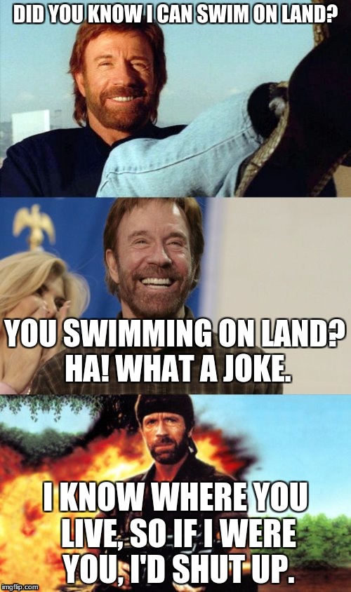 More Like A Conversation I'd Stay Out of. | DID YOU KNOW I CAN SWIM ON LAND? YOU SWIMMING ON LAND? HA! WHAT A JOKE. I KNOW WHERE YOU LIVE, SO IF I WERE YOU, I'D SHUT UP. | image tagged in awesome pun chuck norris,memes,chuck norris | made w/ Imgflip meme maker