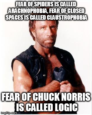 Chuck Norris Flex Meme | FEAR OF SPIDERS IS CALLED ARACHNOPHOBIA, FEAR OF CLOSED SPACES IS CALLED CLAUSTROPHOBIA; FEAR OF CHUCK NORRIS IS CALLED LOGIC | image tagged in memes,chuck norris flex,chuck norris | made w/ Imgflip meme maker
