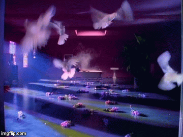 doves | image tagged in gifs,music | made w/ Imgflip video-to-gif maker