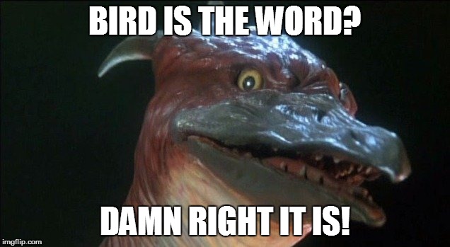 Rodan | BIRD IS THE WORD? DAMN RIGHT IT IS! | image tagged in rodan | made w/ Imgflip meme maker